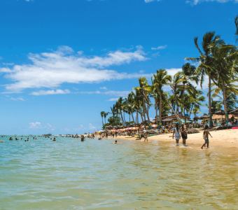 coroa-vermelha-porto-seguro-bahia